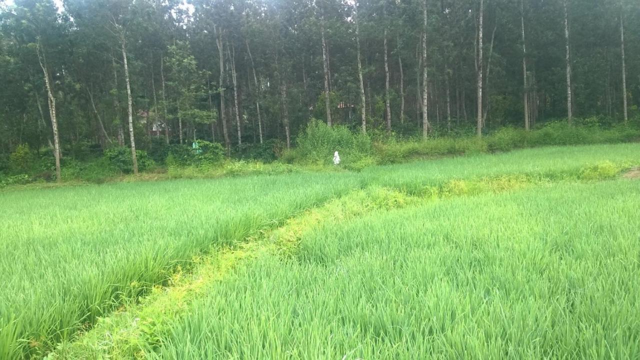 Rai Cottage @ Coorg ,Suntikoppa 외부 사진