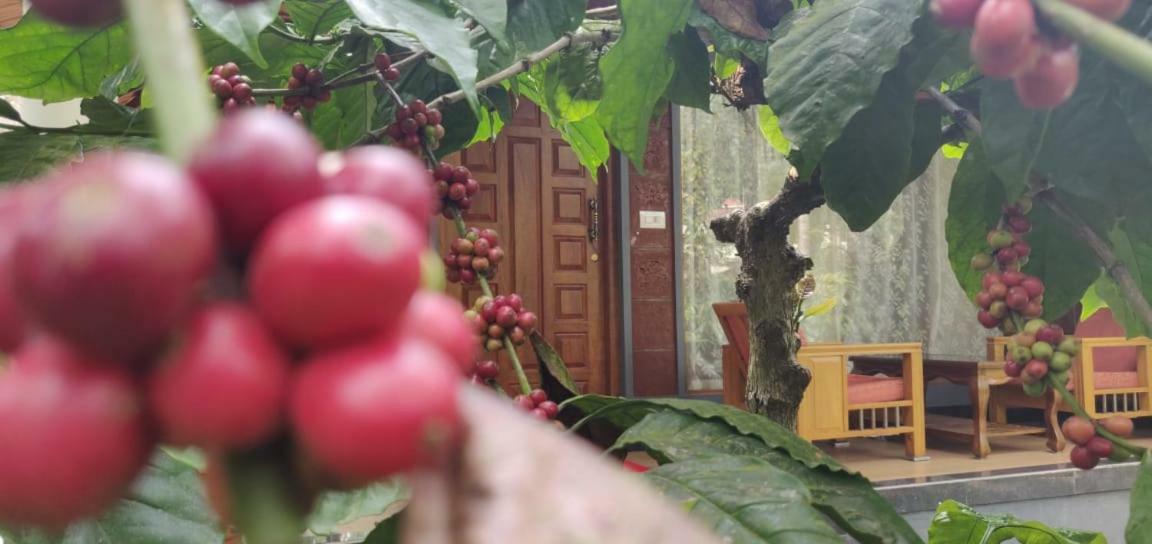 Rai Cottage @ Coorg ,Suntikoppa 외부 사진