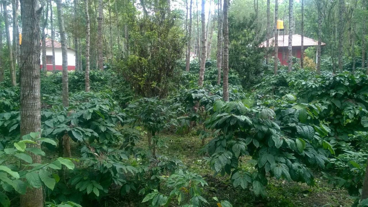 Rai Cottage @ Coorg ,Suntikoppa 외부 사진
