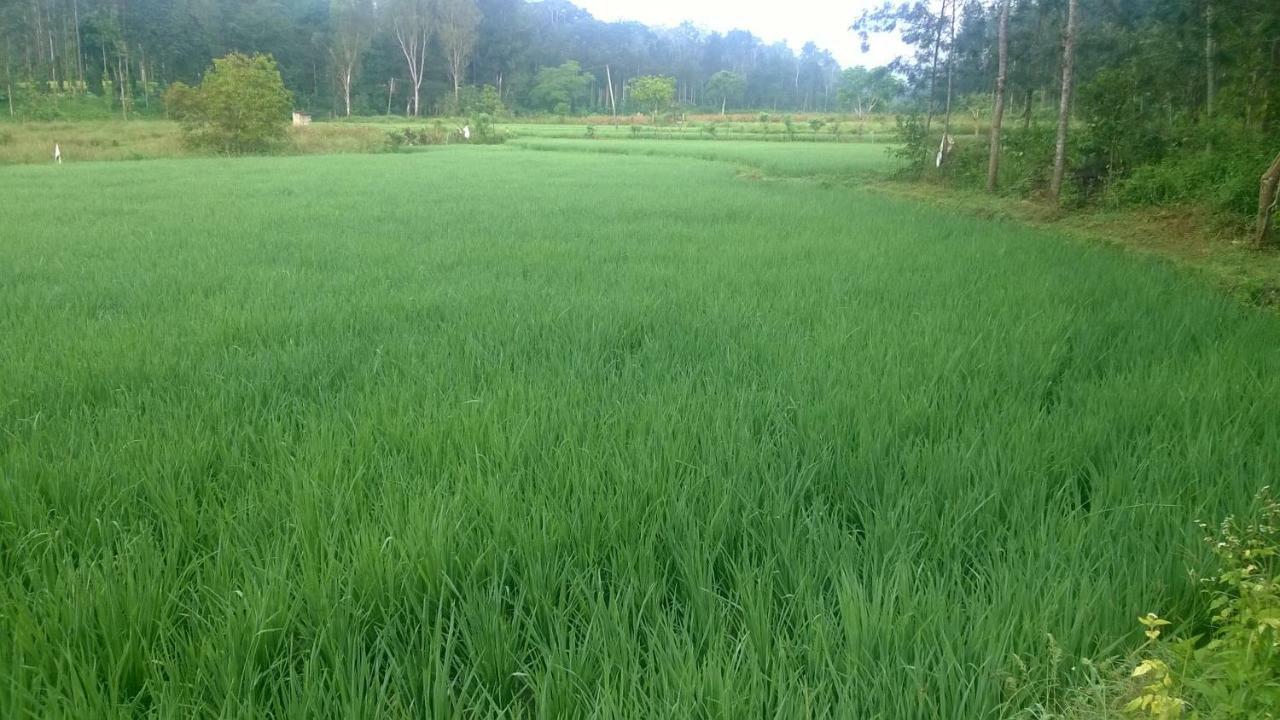 Rai Cottage @ Coorg ,Suntikoppa 외부 사진