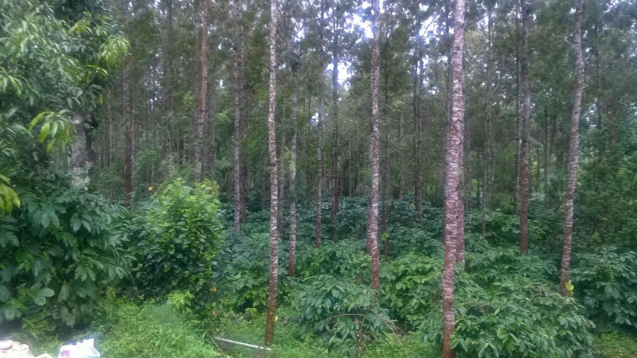 Rai Cottage @ Coorg ,Suntikoppa 외부 사진