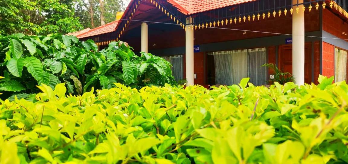 Rai Cottage @ Coorg ,Suntikoppa 외부 사진